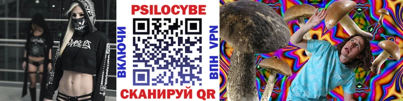 наркота Иланский кракен как войти Галлюциногенные грибы Magic Shrooms